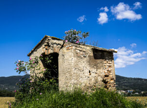 La forza della natura