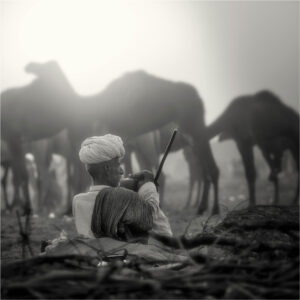 pushkar