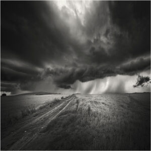 toscana 16
