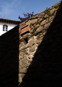 Collodi