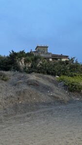 Manola Gori