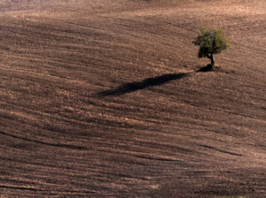 Val d&rsquo;Orcia