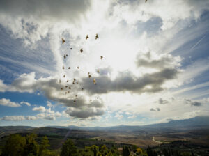 Val d’orcia